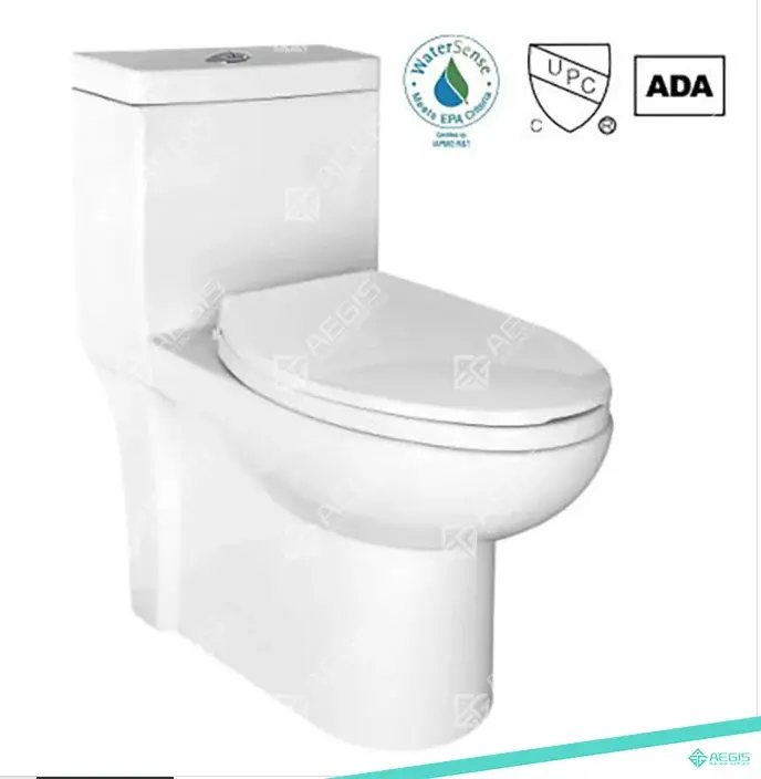 220401 - ONE PIECE ELONGATED TOILET